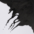 溫莎牛頓色繪墨水WINSOR & NEWTON Drawing Ink 溫莎牛頓色繪墨水WINSOR & NEWTON Drawing Ink