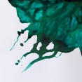 溫莎牛頓色繪墨水WINSOR & NEWTON Drawing Ink 溫莎牛頓色繪墨水WINSOR & NEWTON Drawing Ink