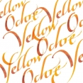 溫莎牛頓英文書法墨水30ml W&N Calligraphy Ink 30mL 溫莎牛頓英文書法墨水30ml W&N Calligraphy Ink 30mL