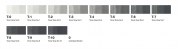 Copic classic麥克筆12色套裝（碳灰）Copic Classic Marker 12 Toner Gray Set【新價格】