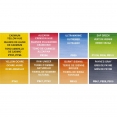 溫莎牛頓COTMAN水彩8色半磚連畫筆套裝 - LandscapeW&N Cotman Watercolour 8Hp Pocket Set - Landscape 溫莎牛頓COTMAN水彩8色半磚連畫筆套裝 - LandscapeW&N Cotman Watercolour 8Hp Pocket Set - Landscape