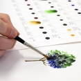 溫莎牛頓專業水彩 Dot CardWinsor & Newton Professional Water Colour Dot Card Colour Chart 溫莎牛頓專業水彩 Dot CardWinsor & Newton Professional Water Colour Dot Card Colour Chart