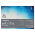 溫莎牛頓專業畫家(幼紋)水彩紙 - 300克20張四面封膠WINSOR & NEWTON Professional Hot Pressed Watercolour Block - 300g 20SH 溫莎牛頓專業畫家(幼紋)水彩紙 - 300克20張四面封膠WINSOR & NEWTON Professional Hot Pressed Watercolour Block - 300g 20SH