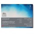 溫莎牛頓專業畫家(幼紋)水彩紙 - 300克20張四面封膠WINSOR & NEWTON Professional Hot Pressed Watercolour Block - 300g 20SH 溫莎牛頓專業畫家(幼紋)水彩紙 - 300克20張四面封膠WINSOR & NEWTON Professional Hot Pressed Watercolour Block - 300g 20SH