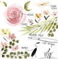 德國KUM MEMORY POINT專業水彩畫筆 - Cat-TongueKUM Brush MEMORY POINT Cat-Tongue 德國KUM MEMORY POINT專業水彩畫筆 - Cat-TongueKUM Brush MEMORY POINT Cat-Tongue