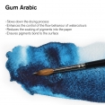 溫莎牛頓阿拉伯膠75 毫升WINSOR & NEWTON Gum Arabic 75ml 