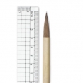中國書畫毛筆-大狼毫Chinese Painting Bamboo Brushes (大狼毫) 中國書畫毛筆-大狼毫Chinese Painting Bamboo Brushes (大狼毫)